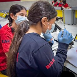 485900642_1052242760277583_165873630794373386_n