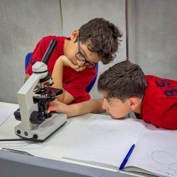 557071542_1209301101238414_5977239402254992381_n